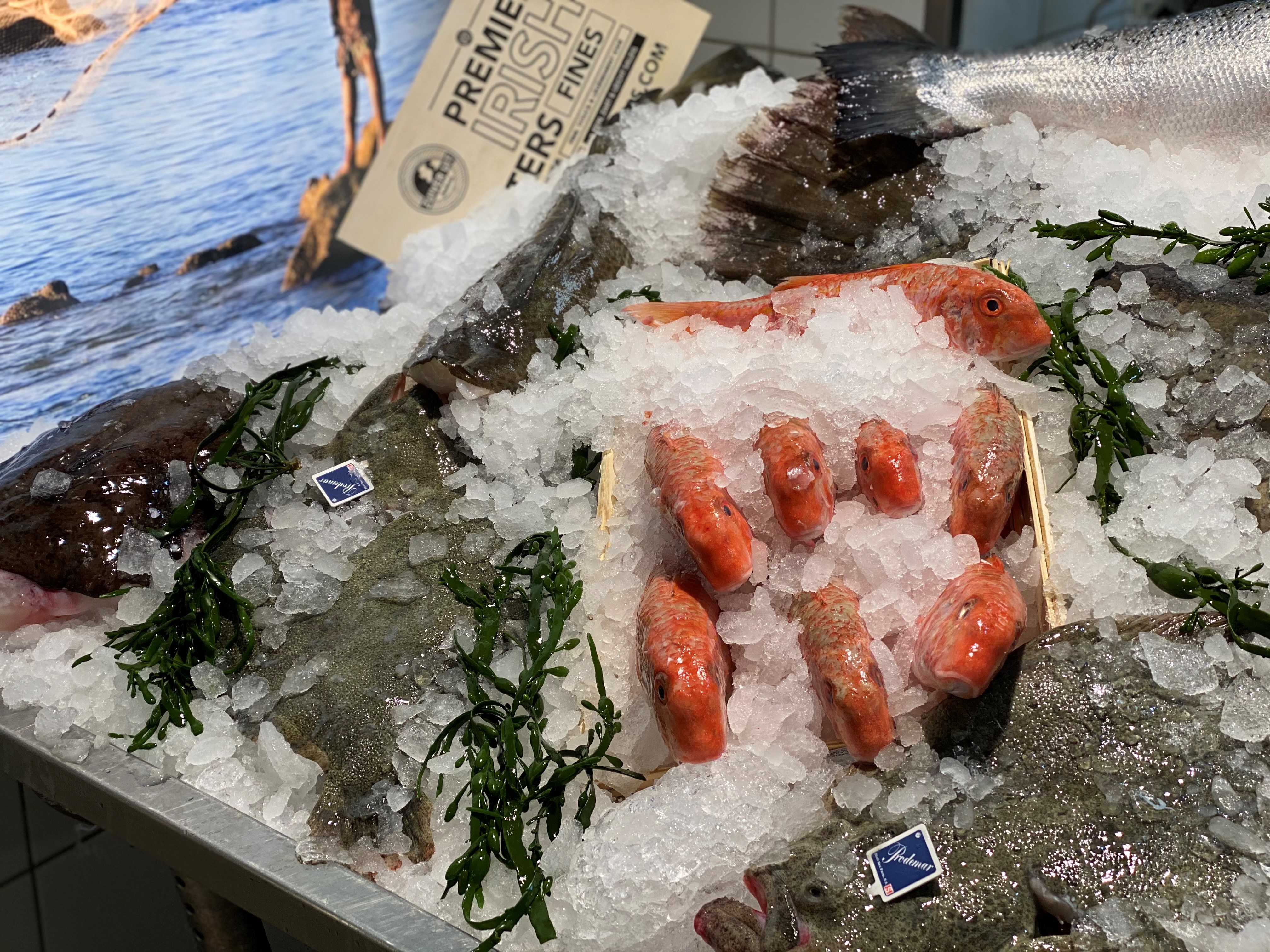Fisch